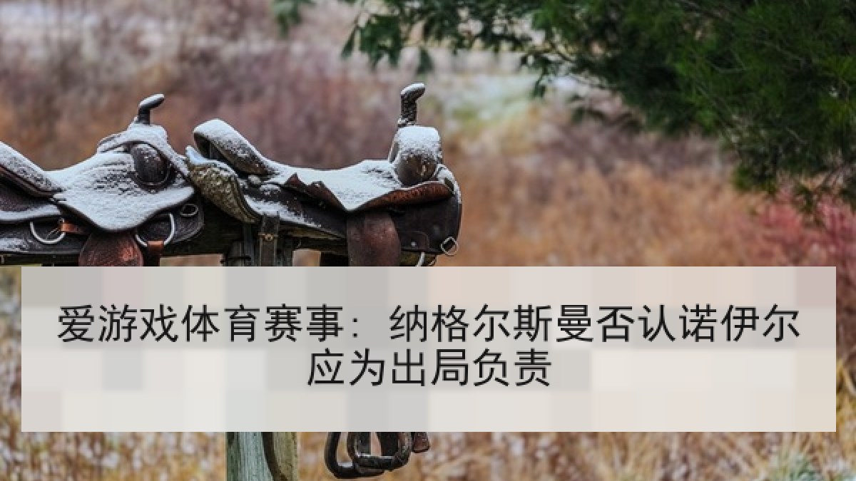 爱游戏体育赛事: 纳格尔斯曼否认诺伊尔应为出局负责